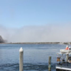 Meet your Posher, King_